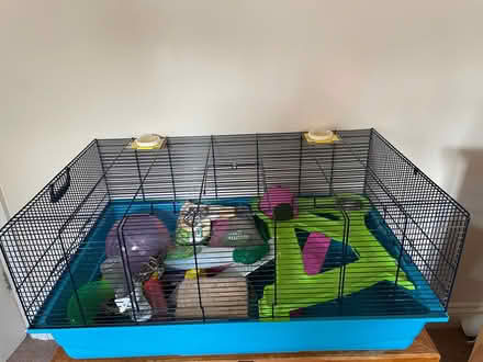 Photo of free Hamster cage with accessories (Malvern Link WR14) #1