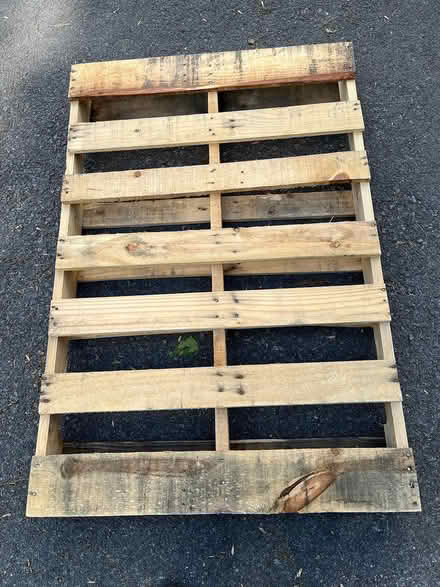 Photo of free Wood pallet & plywood (T/Poughkeepsie Spackenkill) #1