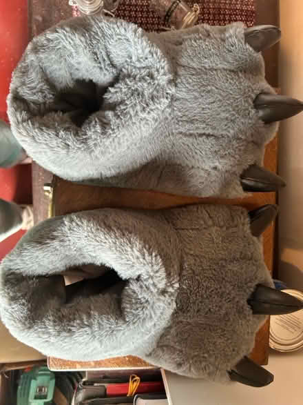 Photo of free Men’s novelty monster slippers (North fort st EH6) #1