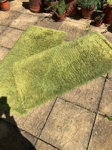 Photo of free Pair of green mats = M/head River Area. (Maidenhead SL6) #1