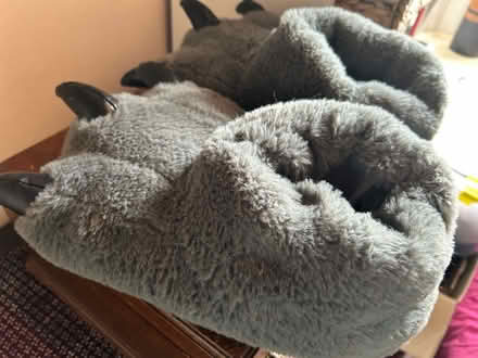 Photo of free Men’s novelty monster slippers (North fort st EH6) #2