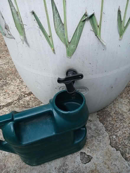 Photo of free Large water butt (Hampden park) #2