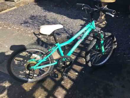 Photo of free Girls bike 20 inch (Copthorne SY3) #1