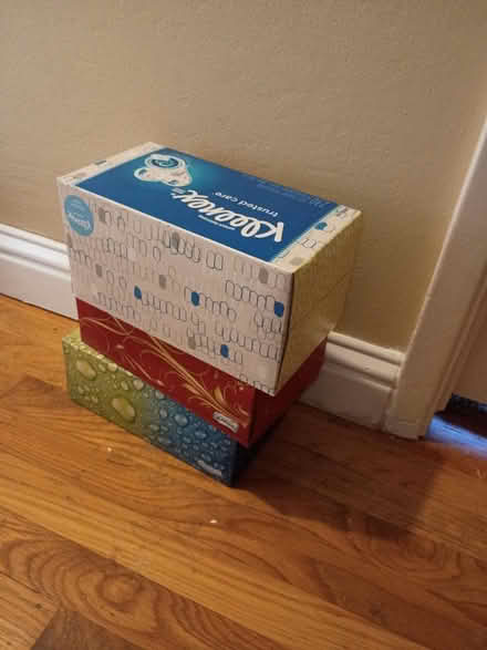Photo of free Kleenex Tisdues--unopened boxes (Birdland) #1