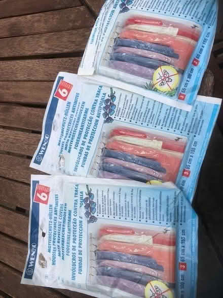 Photo of free Moth protection bags HG2 (Harrogate HG2) #1