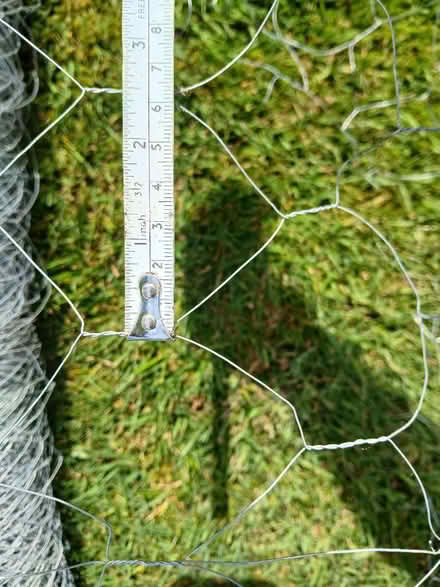 Photo of free Hex netting (chicken wire) (West Bridgford NG2) #2