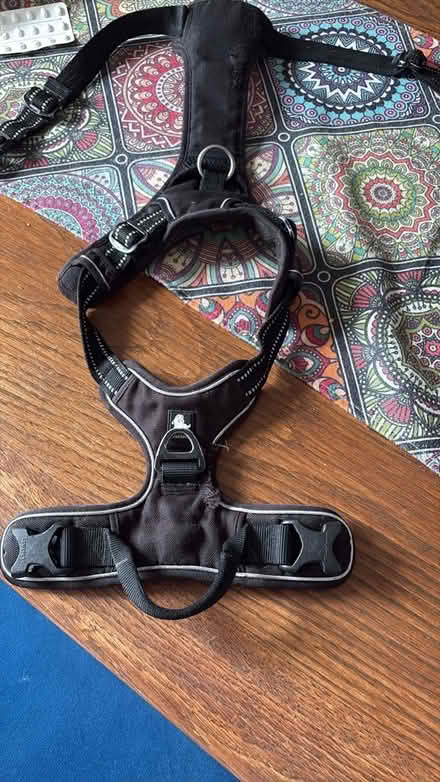 Photo of free Small / medium Truelove dog harness (Epsom KT17) #1