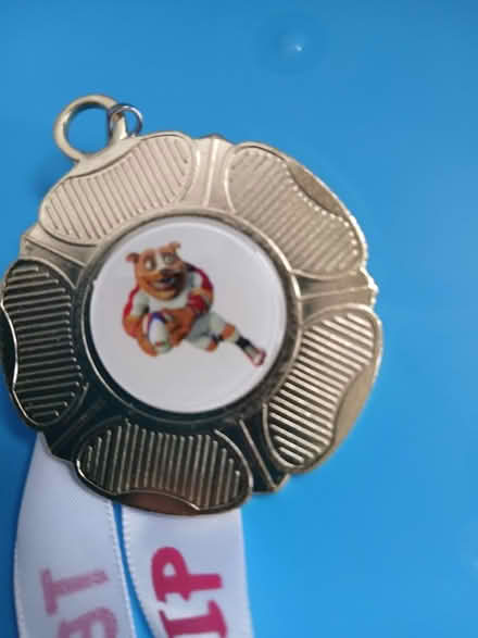 Photo of free Box of rubgy medals (Charlton Kings GL53) #2