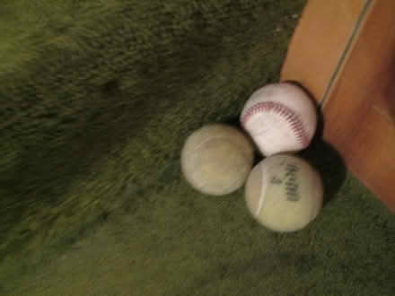 Photo of free 4 balls for dogs play (Old Ottawa South) #1