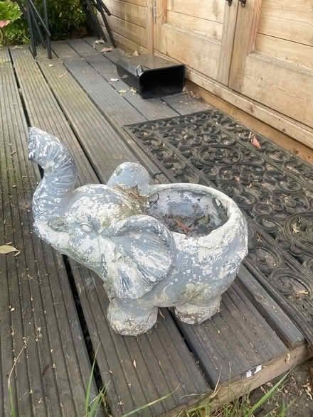 Photo of free Elephant garden planter (Garston WD25) #1