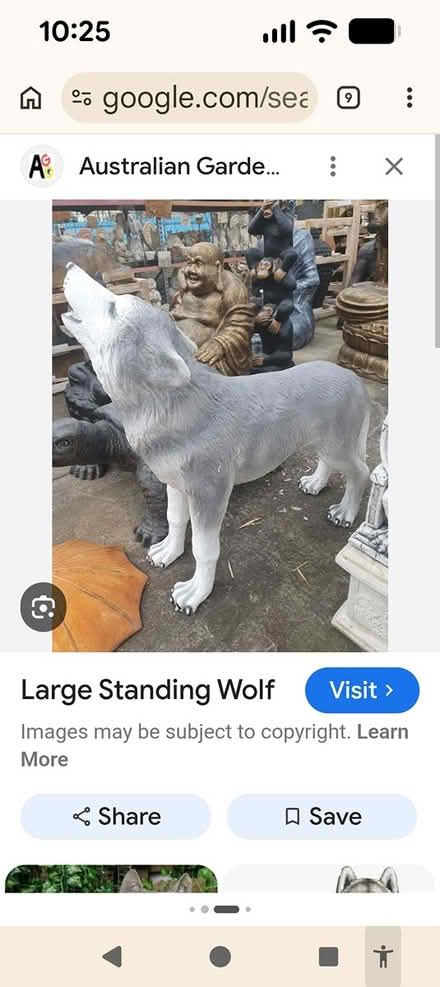 Photo of Life-Size wolf / dog to scare geese (Prince of Wales and Baseline) #1