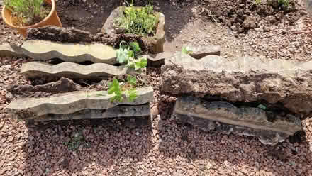 Photo of free Decorative edging stones (Bridge of Allan FK9) #1