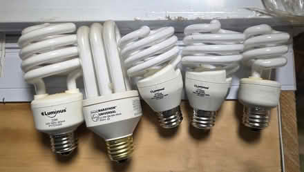 Photo of free Working CFL bulb (Moodie Drive and Carling Ave) #1