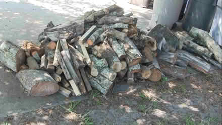 Photo of free firewood (Eastbrook-Goldenrod) #1