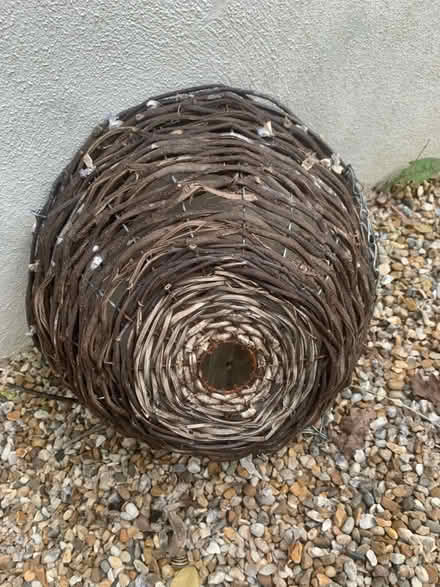 Photo of free Hanging basket (Burgess Hill RH15) #1
