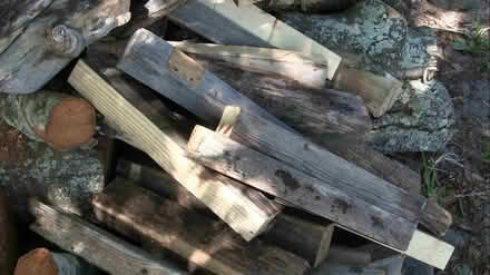 Photo of free firewood (Eastbrook-Goldenrod) #2