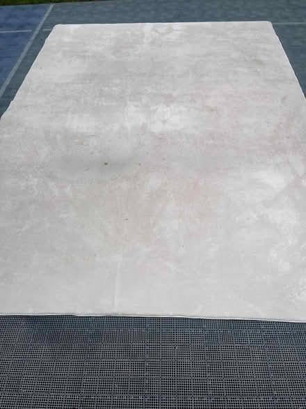 Photo of free Large White rug (North Seattle (Ravenna)) #1