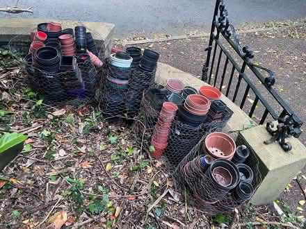 Photo of free Plastic Pots (Langbank) #1