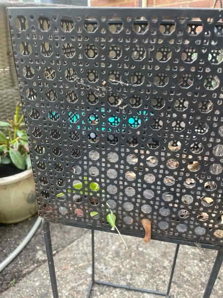 Photo of free Black metal plant stand (Garston WD25) #2