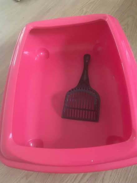 Photo of free Cat litter box (Kingsway CB4) #2