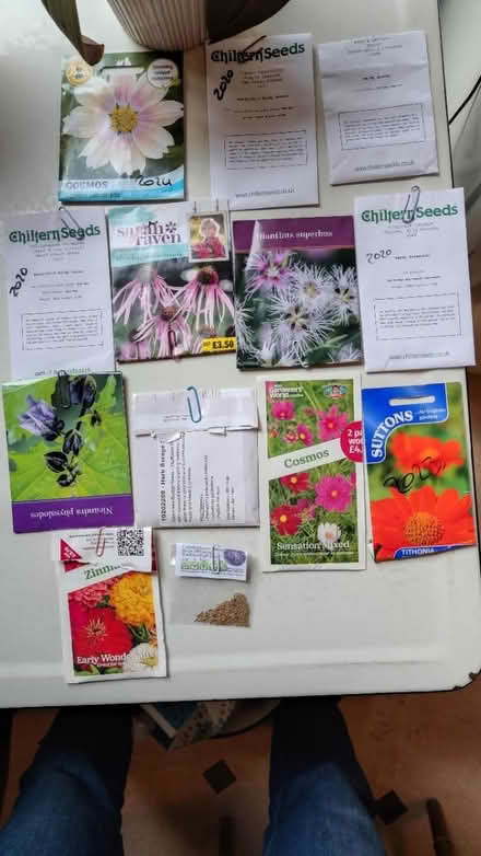 Photo of free Seeds (Palmers Green N13) #1