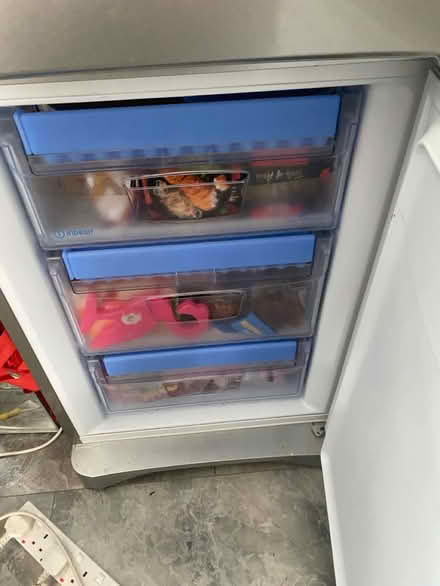 Photo of free Indesit fridge freezer (Croxteth L11) #3