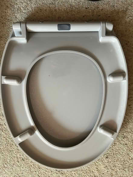 Photo of free Grey glitter toilet seat (Willingdon BN22) #2