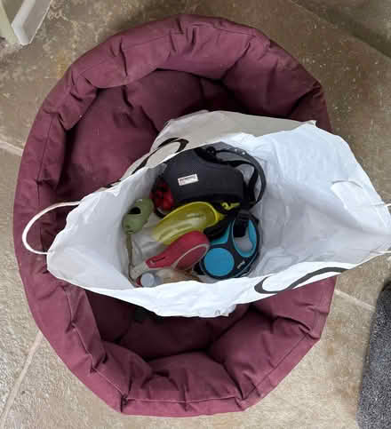 Photo of free Dog bed & dog items (Lingen SY7) #1