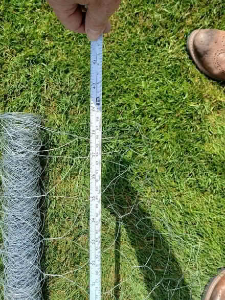 Photo of free Hex netting (chicken wire) (West Bridgford NG2) #3