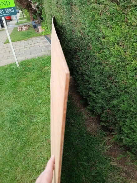 Photo of free Sheet of plywood (West Bridgford NG2) #2