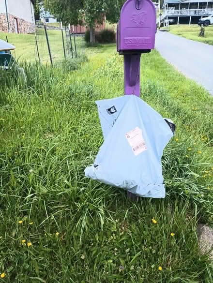 Photo of free Little Dog clothes (Grafton WV. 26354) #3