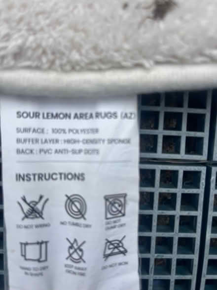 Photo of free Large White rug (North Seattle (Ravenna)) #2