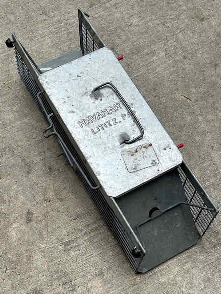 Photo of free Live catch animal cage (Los Gatos near downtown) #1