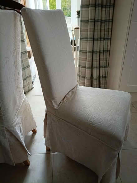 Photo of free Dining chairs (Chester CH1) #1