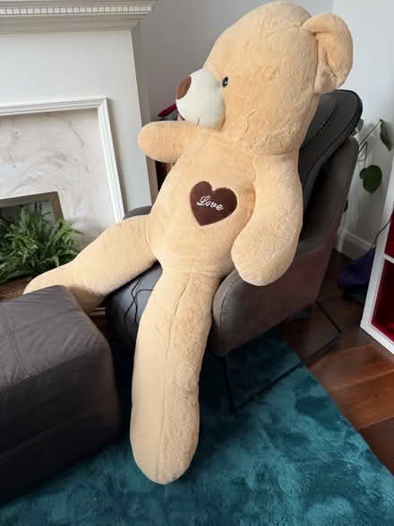 Photo of free Giant Giant Teddy (Coney Hall BR4) #1