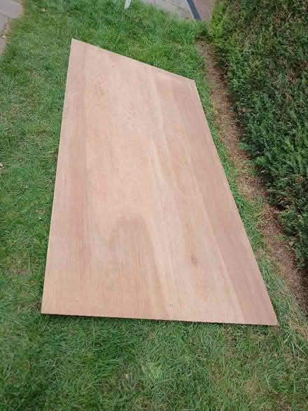 Photo of free Sheet of plywood (West Bridgford NG2) #1