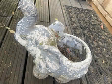 Photo of free Elephant garden planter (Garston WD25) #2