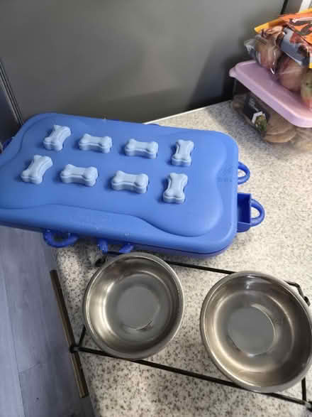 Photo of free Dog items (Bilton CV22) #1