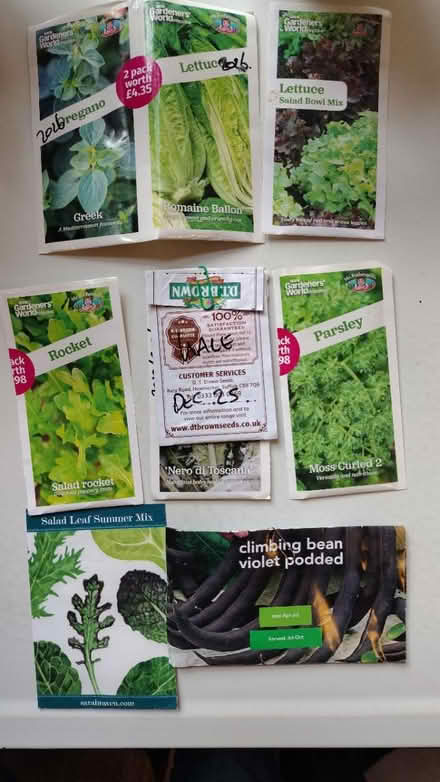 Photo of free Seeds (Palmers Green N13) #2