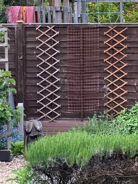 Photo of free Garden trellis– needs repair but all bits present! (Bilton CV22) #3