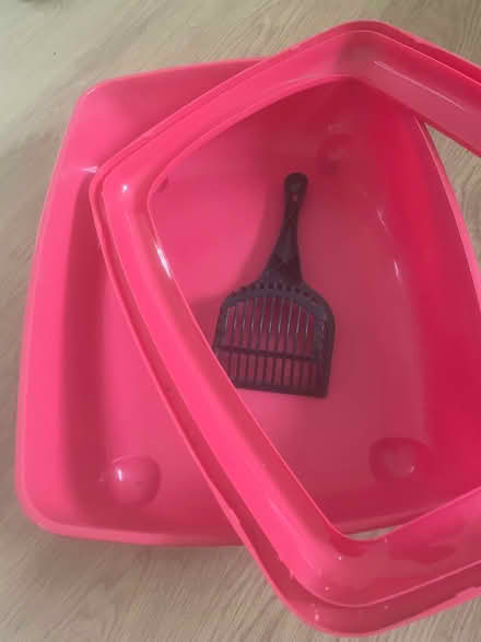 Photo of free Cat litter box (Kingsway CB4) #1