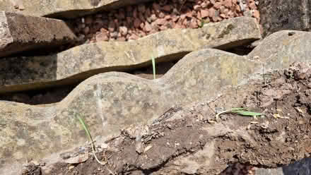 Photo of free Decorative edging stones (Bridge of Allan FK9) #2
