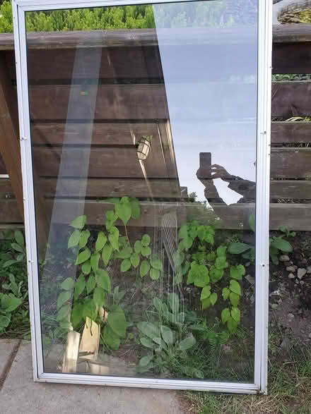 Photo of free Aluminum storm windows (Leschi (central Seattle)) #2