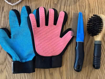 Photo of free Cat brushes (Central Bath) #1