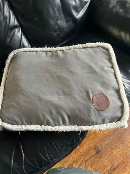 Photo of free Dog bed (Horfield) #1