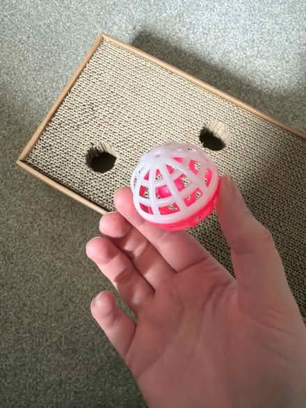 Photo of free Cat Cardboard Scratcher (Penrith CA11) #4