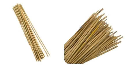 Photo of Bamboo canes (Pennington SO41) #1