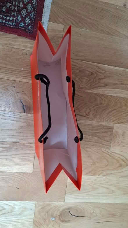 Photo of free Largeish card carrier bag RG26 (Bramley, Hants RG26) #2