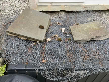 Photo of free Chicken wire (Ambleside LA22) #1
