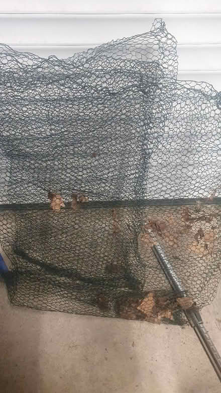 Photo of free Garden mesh (Adel LS16) #1